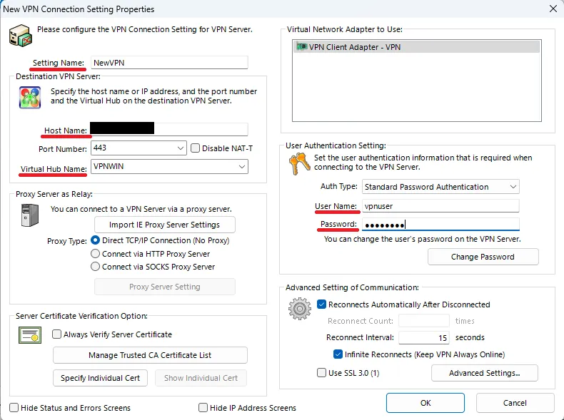 SoftEther VPN ClientでNew VPN Connectionの接続設定を入力するプロパティ画面